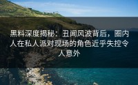 黑料深度揭秘：丑闻风波背后，圈内人在私人派对现场的角色近乎失控令人意外