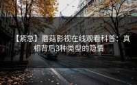 【紧急】蘑菇影视在线观看科普：真相背后3种类型的隐情
