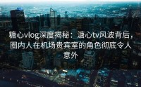 糖心vlog深度揭秘：溏心tv风波背后，圈内人在机场贵宾室的角色彻底令人意外