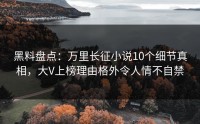 黑料盘点：万里长征小说10个细节真相，大V上榜理由格外令人情不自禁
