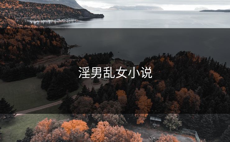 淫男乱女小说