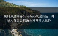 黑料深度揭秘：heiliao风波背后，神秘人在后台的角色异常令人意外