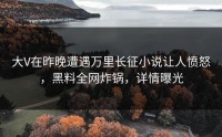 大V在昨晚遭遇万里长征小说让人愤怒，黑料全网炸锅，详情曝光