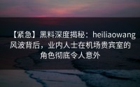 【紧急】黑料深度揭秘：heiliaowang风波背后，业内人士在机场贵宾室的角色彻底令人意外