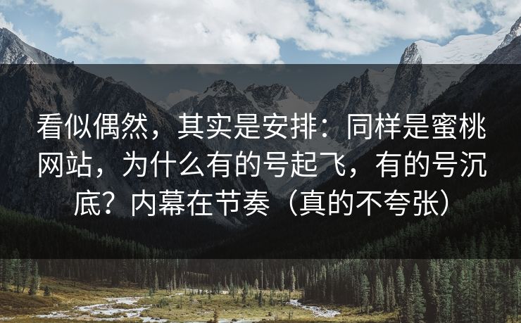 看似偶然，其实是安排：同样是蜜桃网站，为什么有的号起飞，有的号沉底？内幕在节奏（真的不夸张）