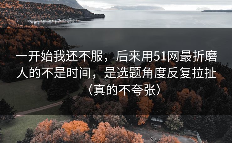 一开始我还不服，后来用51网最折磨人的不是时间，是选题角度反复拉扯（真的不夸张）